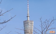 请网友自行核实内容